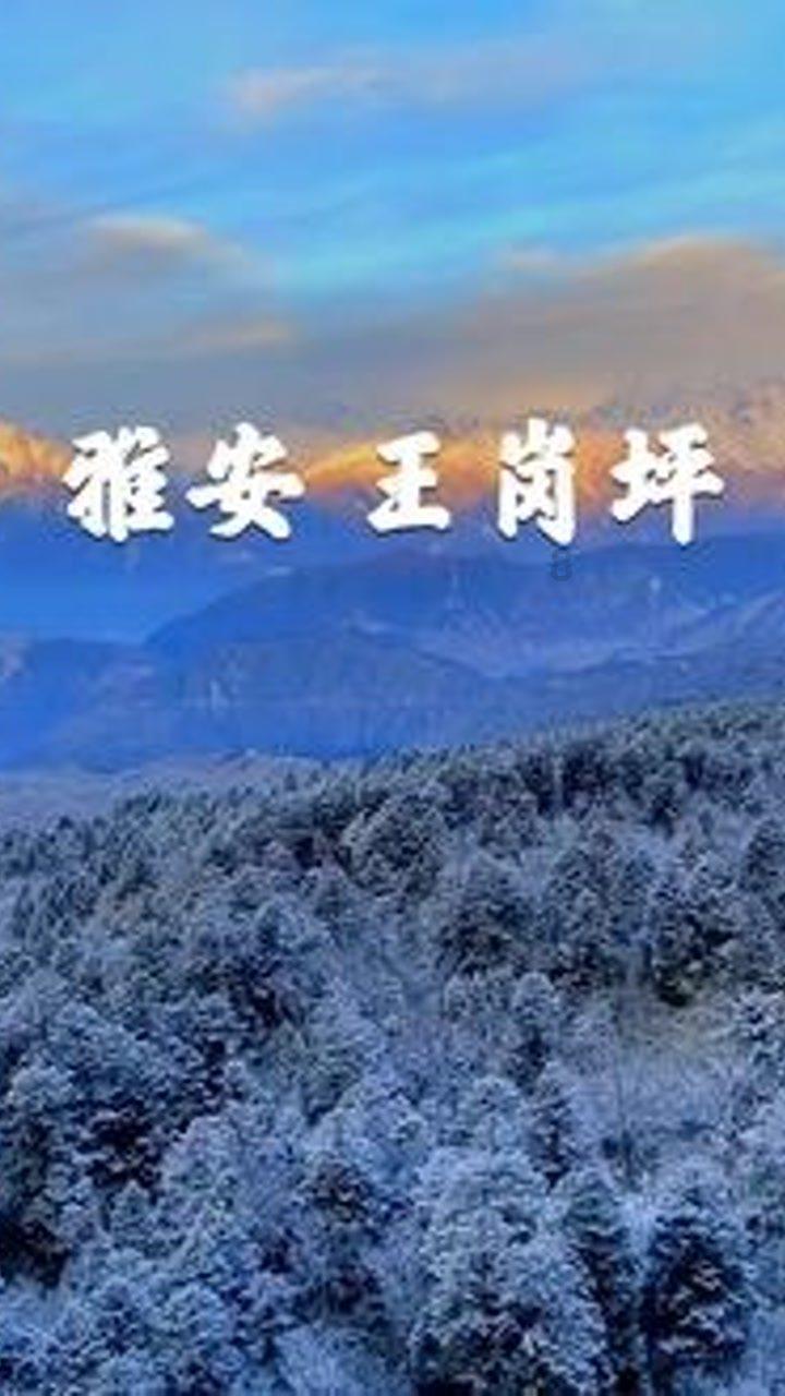 怎么做面条游戏画面